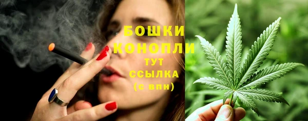 крисы Новокубанск