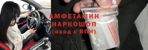 крисы Новокубанск