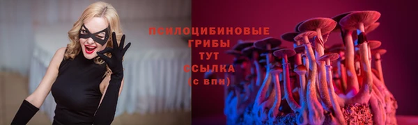 метадон Новодвинск