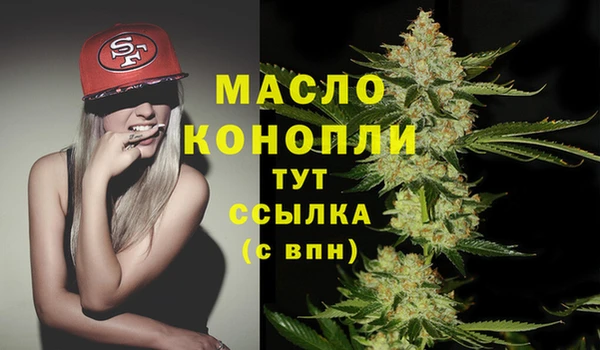 Альфа ПВП Няндома