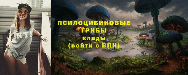 крисы Новокубанск
