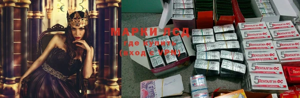 Альфа ПВП Няндома