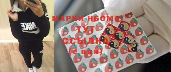 Альфа ПВП Няндома