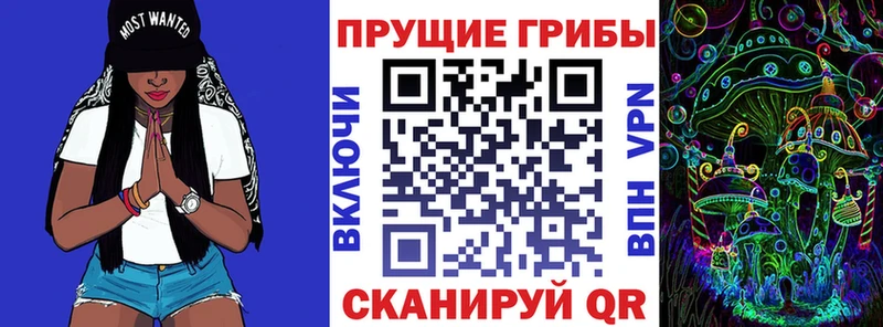 что такое наркотик  Кизилюрт  Галлюциногенные грибы GOLDEN TEACHER 