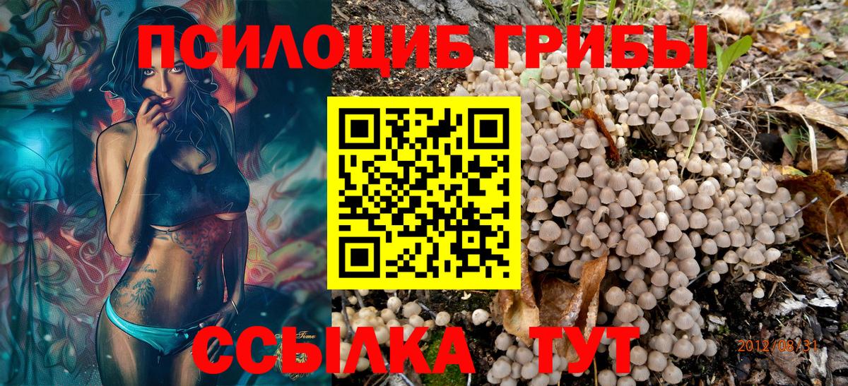 Галлюциногенные грибы GOLDEN TEACHER  Вход с VPN  Кизилюрт 