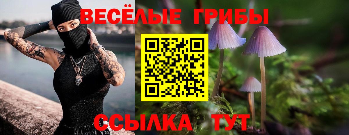 Галлюциногенные грибы Magic Shrooms  Галлюциногенные грибы Magic Shrooms  Кизилюрт 