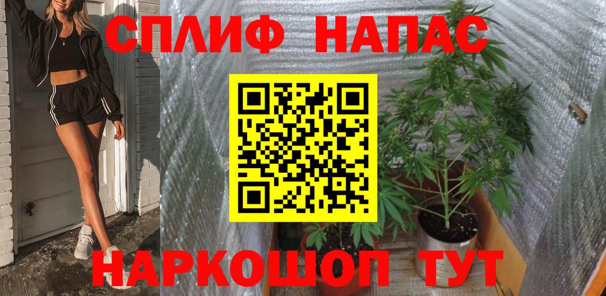 Шишки марихуана сатива  Конопля гибрид  Конопля Ganja  Канабис марихуана  Кизилюрт 